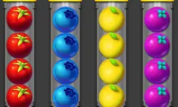 https://www.y8.org.es/game/sort-fruits