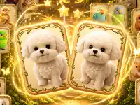 Animal Pair Card Match