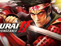 SAMURAI II: VENGEANCE? image