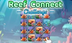 Reef Connect Challenge