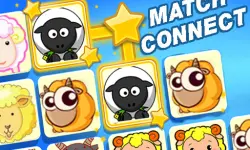Match Connect