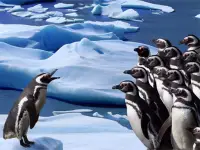 Penguins Slide image