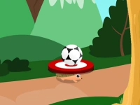 Soccer Target image