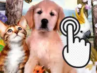 Pets Clicker image