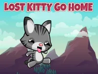 Lost Kitty Go Home image