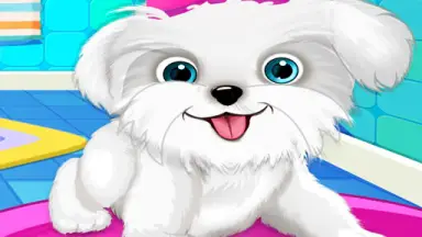 Pet Grooming