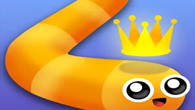Y 8